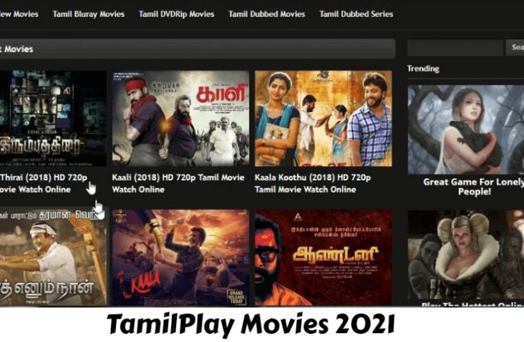 TamilPlay – Illegal HD Tamil Movies Download Website, Download Tamil Play TV Series