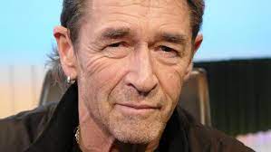 Peter Maffay Fortune